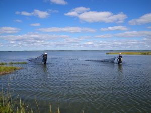 Two people maneuvering a net in the water