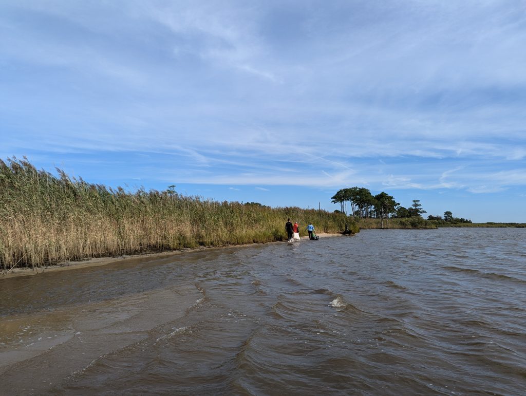 A river with tall plants covering the side of it