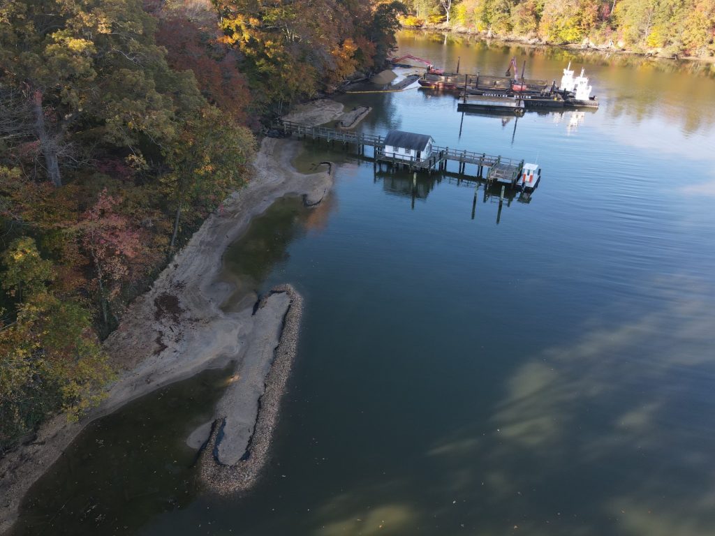 A living shoreline along a forest