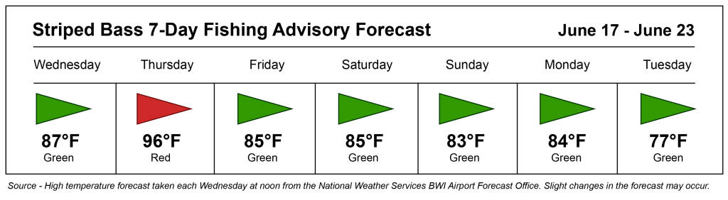Color-coded striped bass fishing advisory showing green flags every day except a red flag on Thursday