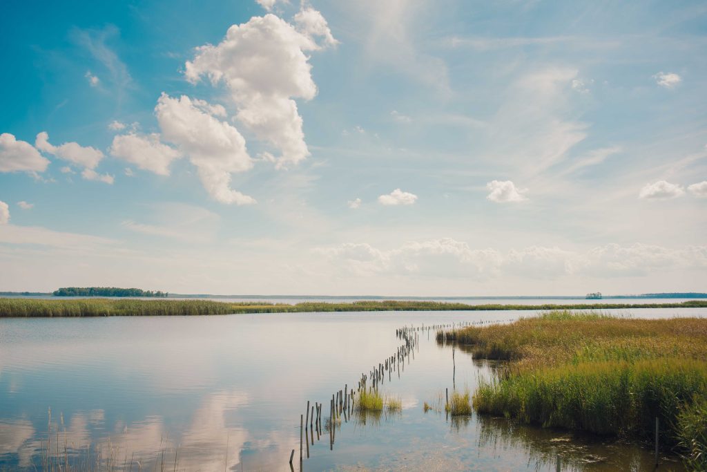 Blue Skies by Yazan Hasan