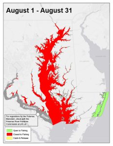 Map of Chesapeake Bay noting closure to striped bass fishing from August 1- August 31
