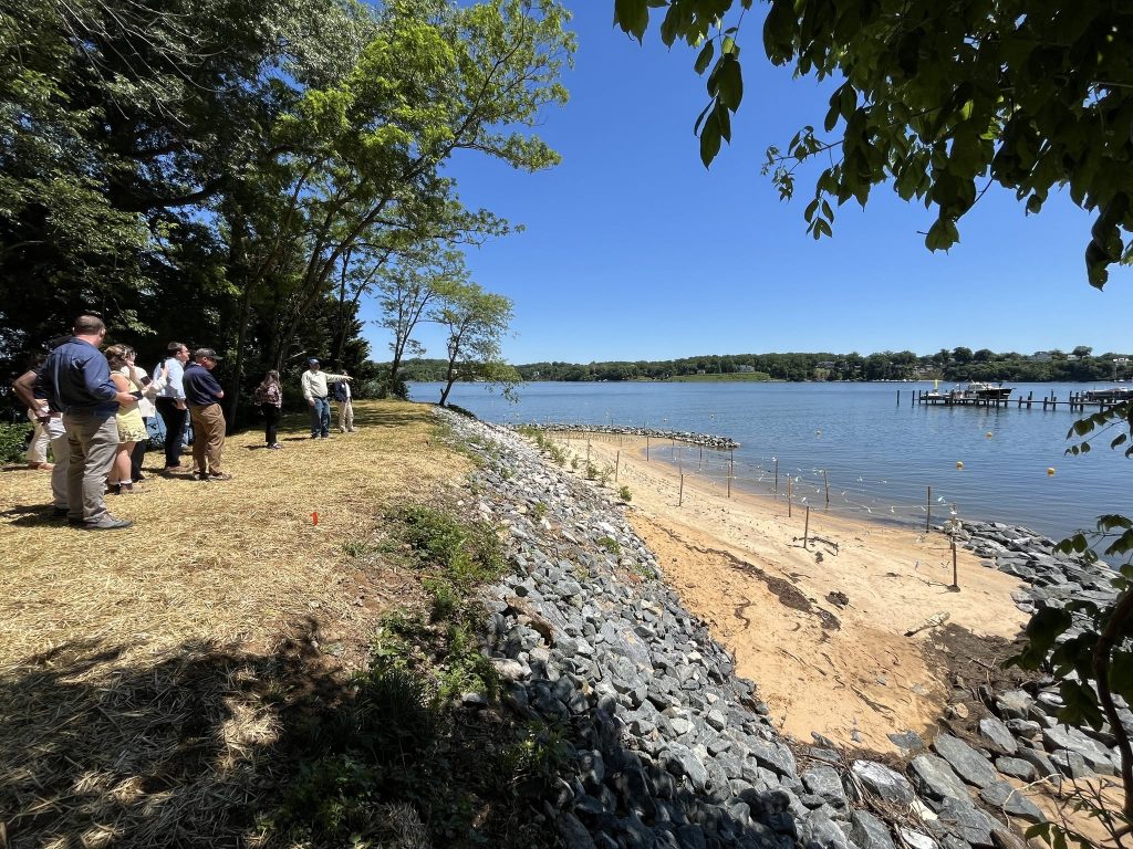 A crowd on a living shoreline along the coast of a river