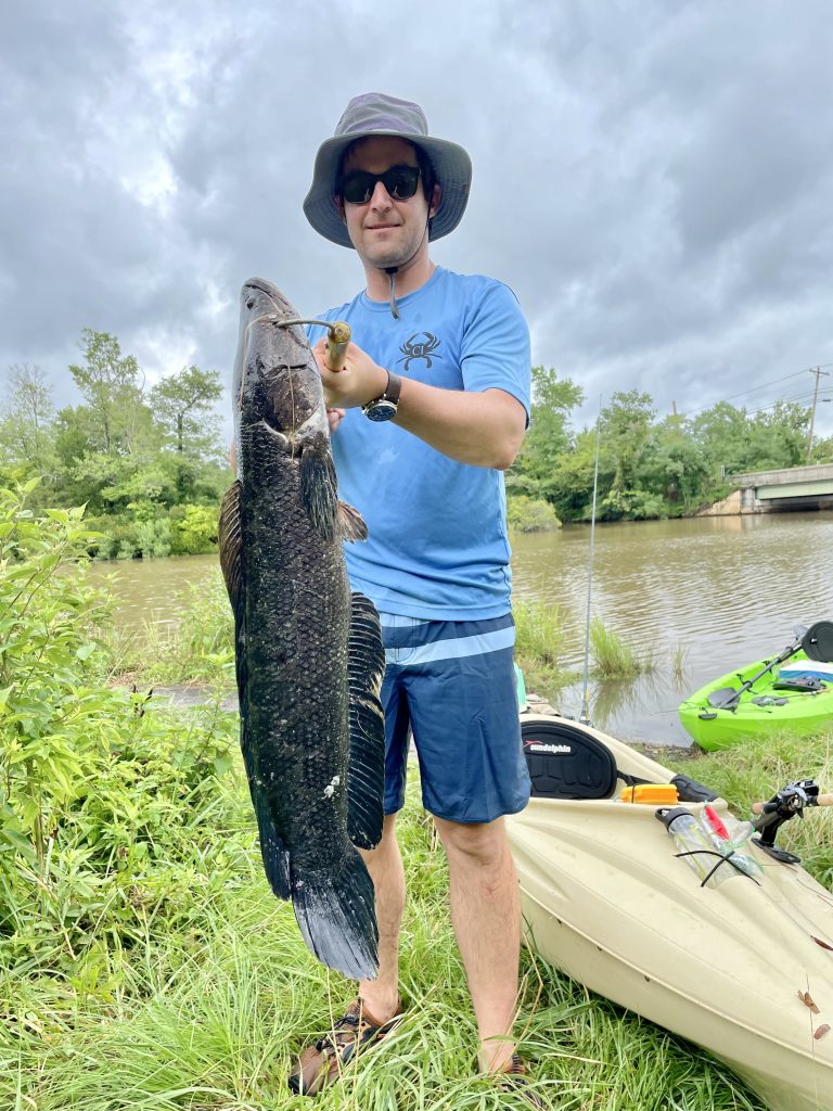 Man holding a large fish while standing next to a kayak in a marshy area