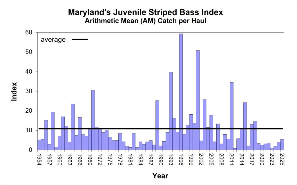 A graph showing the juvenile striped bass index over time, from 1954 to 2026.