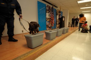 A DPSCS K9 team shows off the dog's ability to find a hidden cell phone.