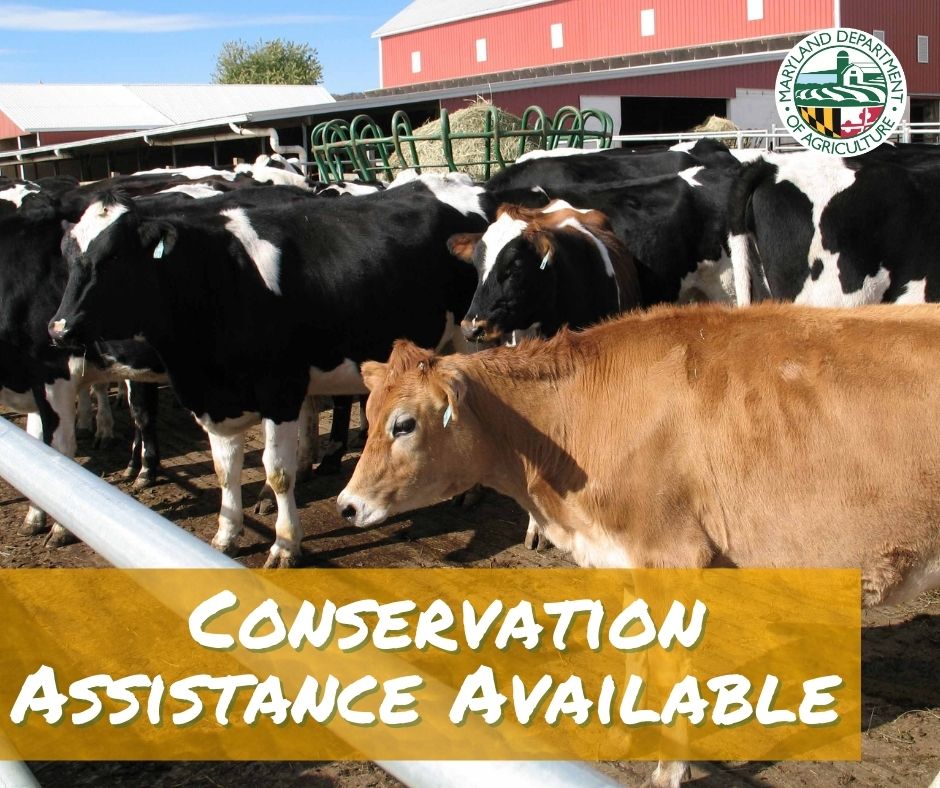 Conservation Assistance Available