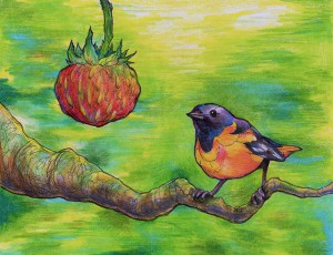 Fragaria and Oriole by Kern Lee