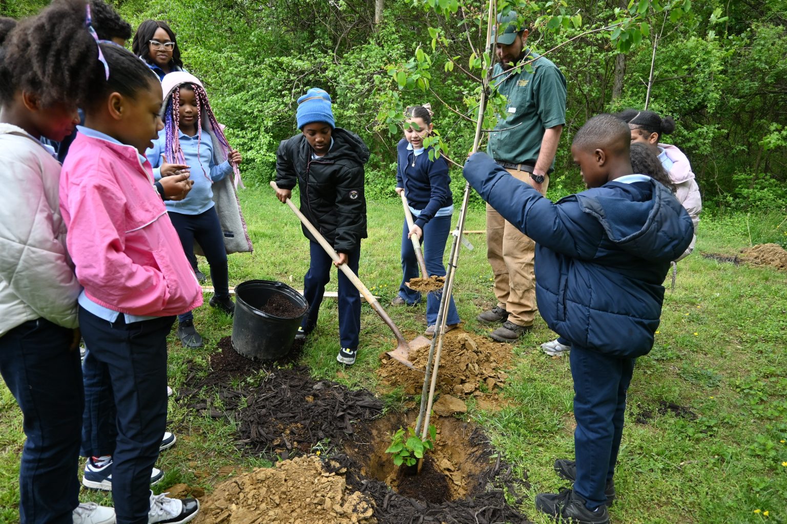 Root For Earth Week Planting with a Purpose: Schoolyard Forests Program Grows Through ...
