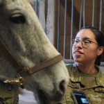 Frontlines to horse strides, Soldiers take mental health pause between COVID-19 response missions