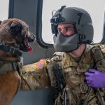 Maryland Guard helicopters and police K-9 units collaborate during MEDEVAC training
